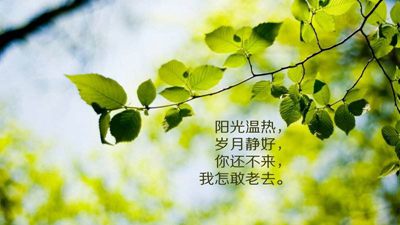 富有人生哲理的50句英語(yǔ)名言