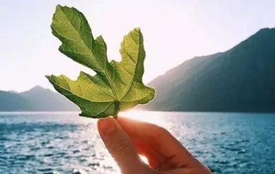 關(guān)于藝術(shù)的英語名人名言