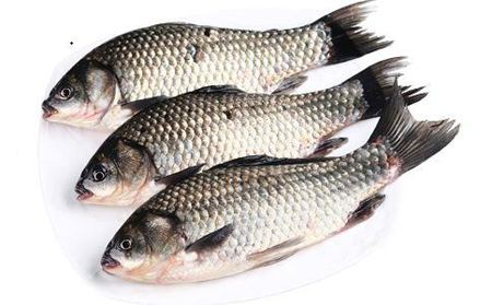 魚(yú)身上的黏液有什么作用？怎么去除？