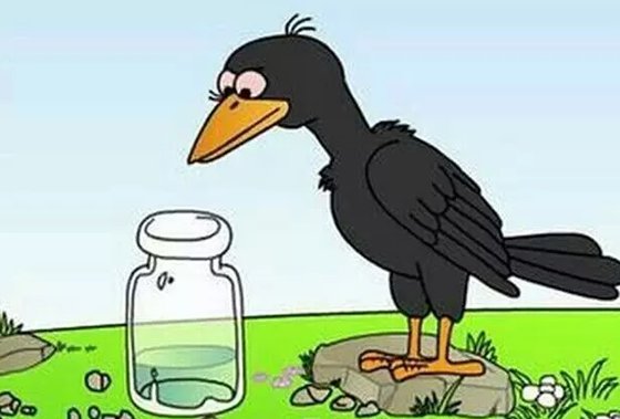 為什么說烏鴉是最聰明的鳥？