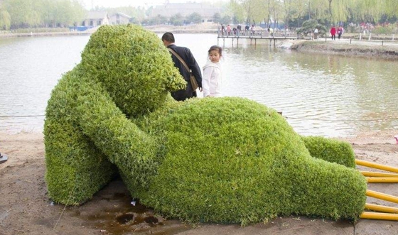 為什么植物也要睡覺(jué),會(huì)睡覺(jué)的植物有哪些