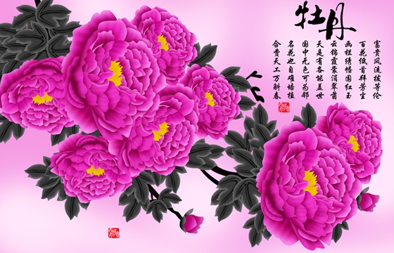 為什么牡丹被稱為花中之王？