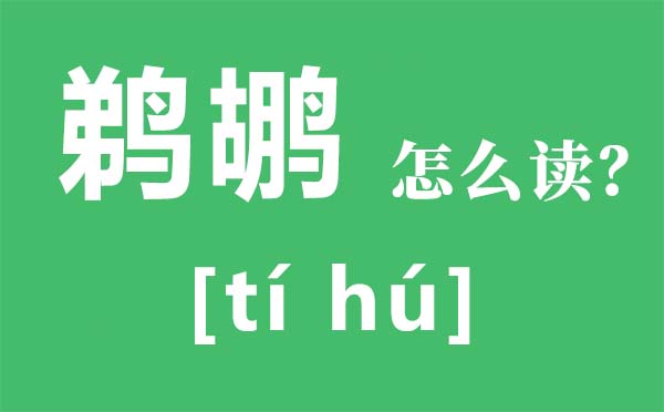 鵜鶘怎么讀,鵜鶘是什么鳥(niǎo),鵜鶘和鸕鶿的區(qū)別