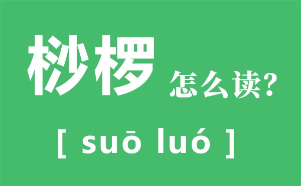 桫欏怎么讀拼音是什么,桫欏是什么植物,桫欏樹(shù)介紹