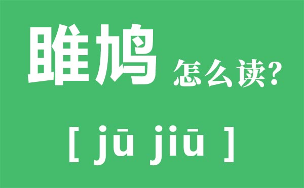 雎鳩怎么讀拼音是什么,雎鳩的意思,關(guān)關(guān)雎鳩是什么意思？