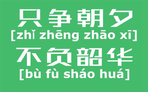 只爭(zhēng)朝夕不負(fù)韶華是什么意思,只爭(zhēng)朝夕不負(fù)韶華的含義