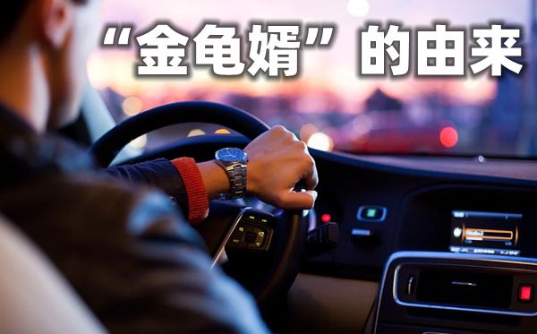 為什么高貴的女婿要叫金龜婿,金龜婿的意思,金龜婿的來(lái)歷