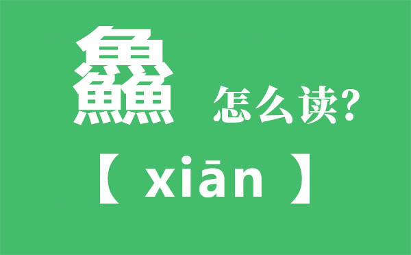 鱻怎么讀,三個(gè)魚(yú)念什么,鱻的拼音,鱻字是什么意思