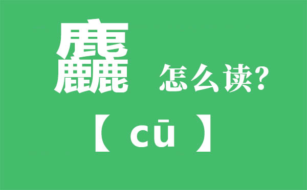 麤怎么讀,三個(gè)鹿念什么,麤的拼音,麤字是什么意思