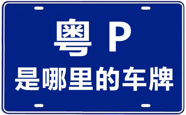粵P是哪里的車牌號(hào),河源的車牌號(hào)是粵什么