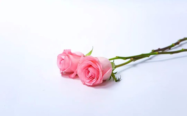 很精辟的朋友圈說(shuō)說(shuō)勵(lì)志句子50句