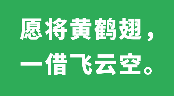 愿將黃鶴翅，一借飛云空的意思是什么,出處、解釋,黃鶴是什么鶴