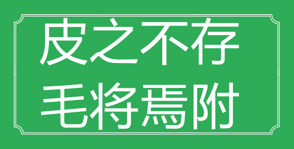 “皮之不存，毛將焉附”的意思出處及全文賞析