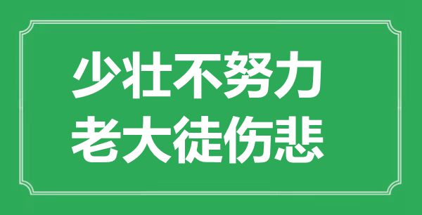 “少壯不努力，老大徒傷悲”的意思是什么,出處是哪首詩