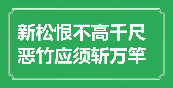 “新松恨不高千尺，惡竹應(yīng)須斬萬竿”是什么意思,出處是哪里
