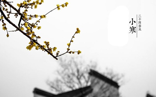 小寒節(jié)氣的含義是什么,小寒節(jié)氣的特點(diǎn)和風(fēng)俗簡(jiǎn)介