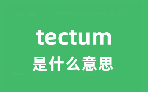 tectum是什么意思
