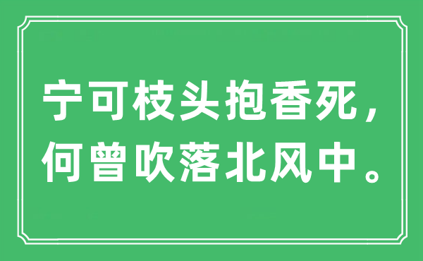 “寧可枝頭抱香死，何曾吹落北風(fēng)中。”是什么意思,出處及原文翻譯