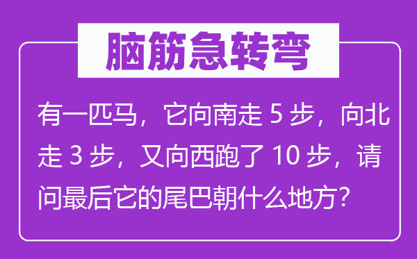 腦筋急轉彎：有一匹馬，它向南走5步，向北走3步，又向西跑了10步，請問最后它的尾巴朝什么地方？