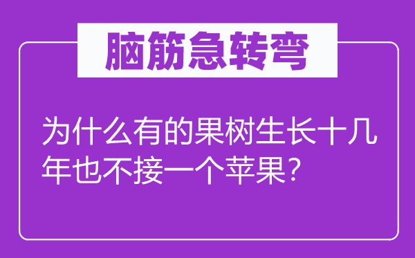 腦筋急轉(zhuǎn)彎：為什么有的果樹生長十幾年也不接一個蘋果？