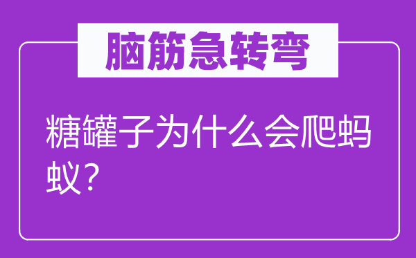 腦筋急轉(zhuǎn)彎：糖罐子為什么會爬螞蟻？