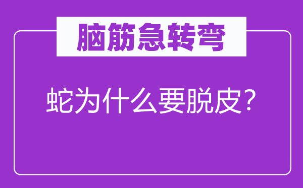 腦筋急轉(zhuǎn)彎:蛇為什么要脫皮?