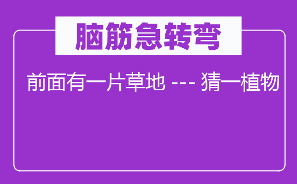 腦筋急轉彎:前面有一片草地---猜一植物