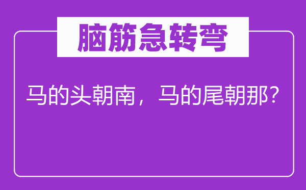 腦筋急轉(zhuǎn)彎：馬的頭朝南，馬的尾朝那？