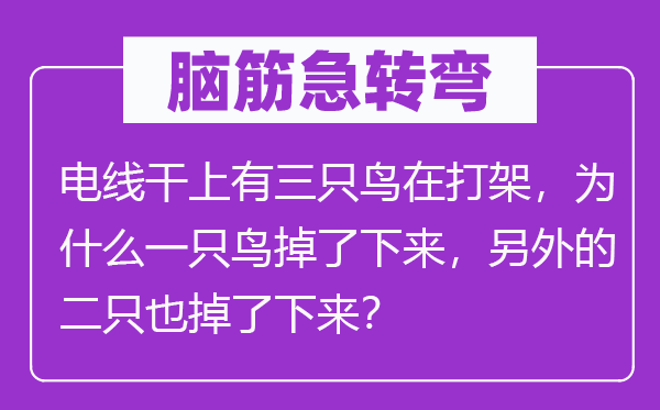 腦筋急轉彎：電線干上有三只鳥在打架，為什么一只鳥掉了下來，另外的二只也掉了下來？