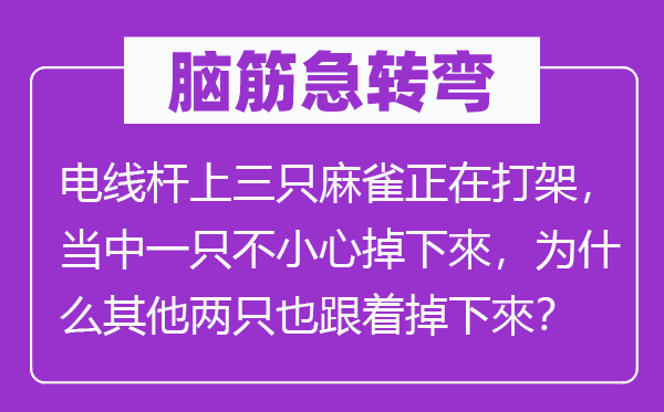 腦筋急轉(zhuǎn)彎：電線桿上三只麻雀正在打架，當(dāng)中一只不小心掉下來，為什么其他兩只也跟著掉下來？