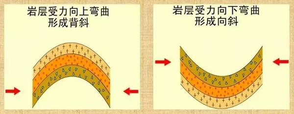 地球上為什么會(huì)有山,山是怎么形成的？