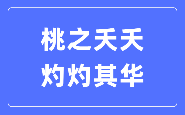桃之夭夭，灼灼其華是什么意思,桃之夭夭灼灼其華的含義