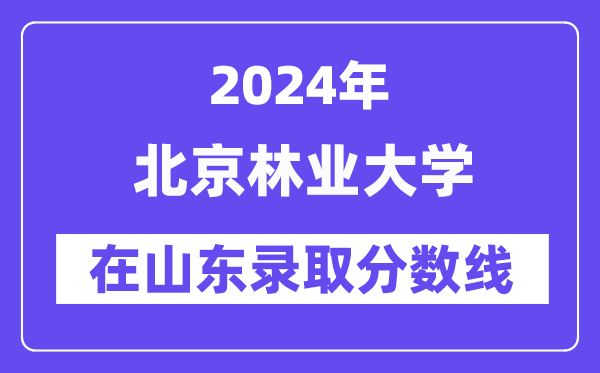 北京林業(yè)大學2024年在山東錄取分數線一覽表(2025年參考)