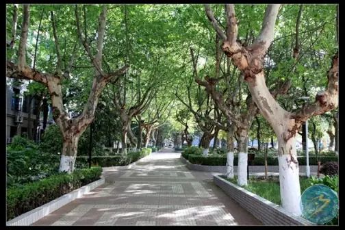 南京第十三中學(xué)簡介概況（建校歷史、地址、師資、校訓(xùn)、環(huán)境）