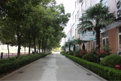 南京第二十九中學(xué)簡(jiǎn)介概況（建校歷史、地址、師資、校訓(xùn)、環(huán)境）