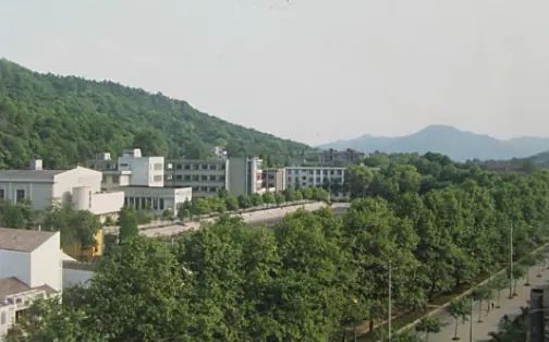 浙江大學附屬中學有幾個校區(qū)_分別在哪?